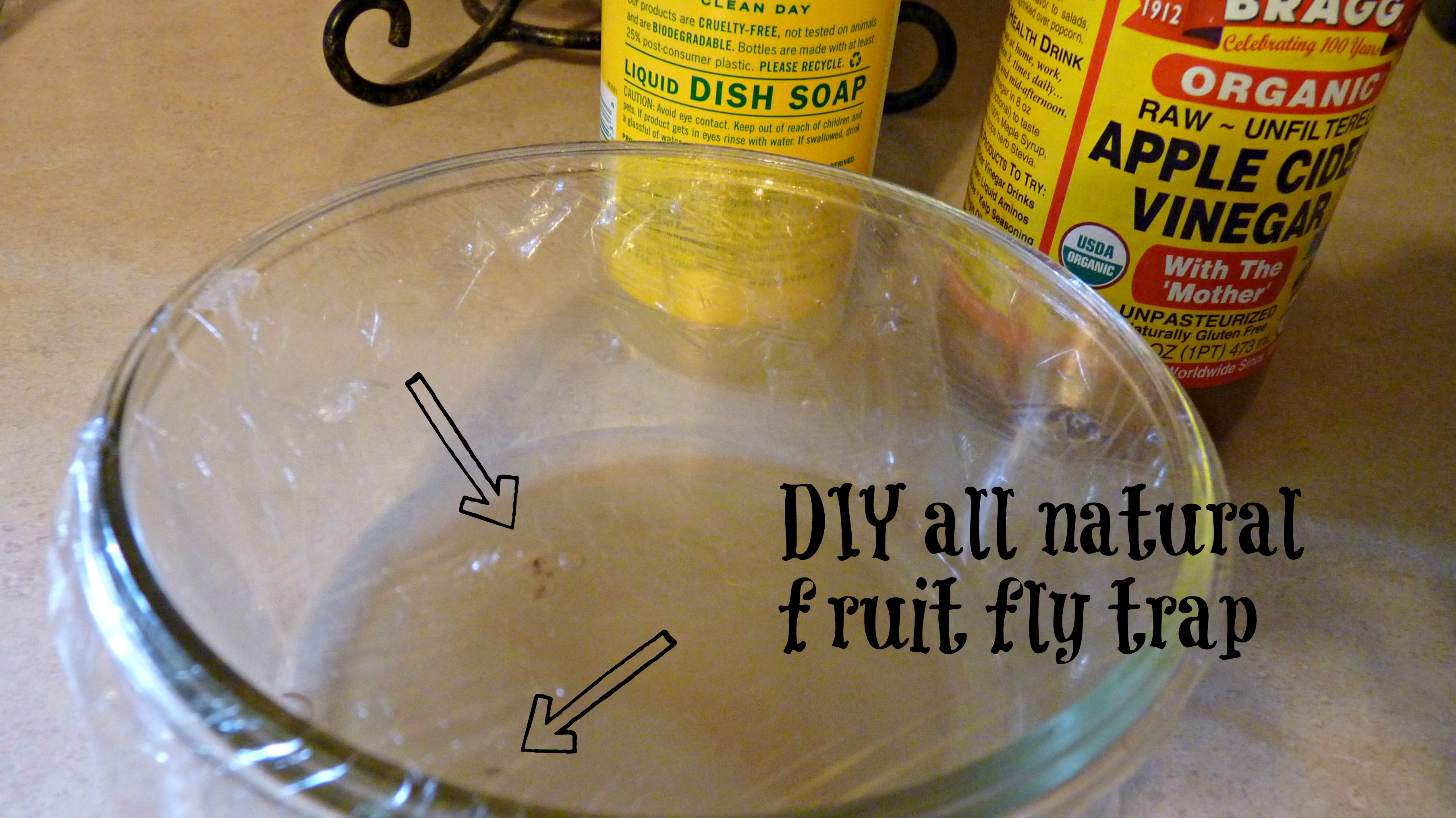 kitchen fruit fly trap